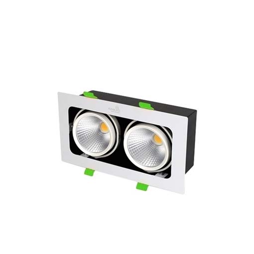Đèn led hộp âm trần rọi Topaz 2*10w