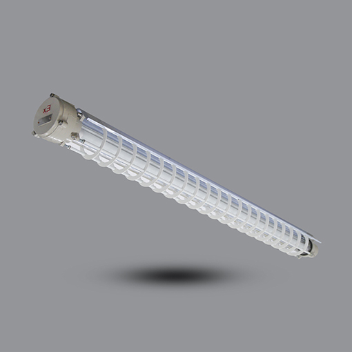 Đèn phòng chống nổ EEW BPY1x36J có Pin dự phòng