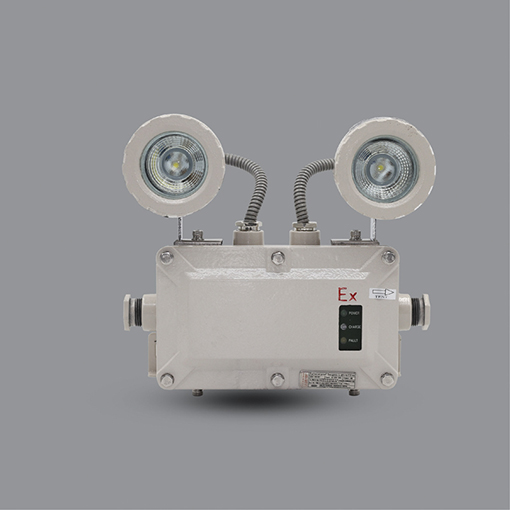 Đèn sạc khẩn cấp phòng chống nổ EEW ESL102 Đèn sạc khẩn cấp phòng chống nổ EEW ESL102