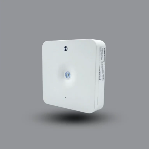 Đèn sạc khẩn cấp PEMG3SC Đèn sạc khẩn cấp PEMG3SC