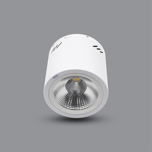 Đèn lon 20W gắn nổi PSDOO170L20 Đèn lon 20W gắn nổi PSDOO170L20