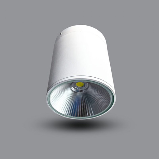 Đèn lon 20W gắn nổi PSDRR160L20 Đèn lon 20W gắn nổi PSDRR160L20