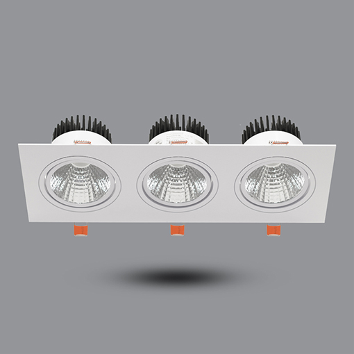 Đèn LED Downlight 30W âm trần có Dimmer OLS310L30/D1