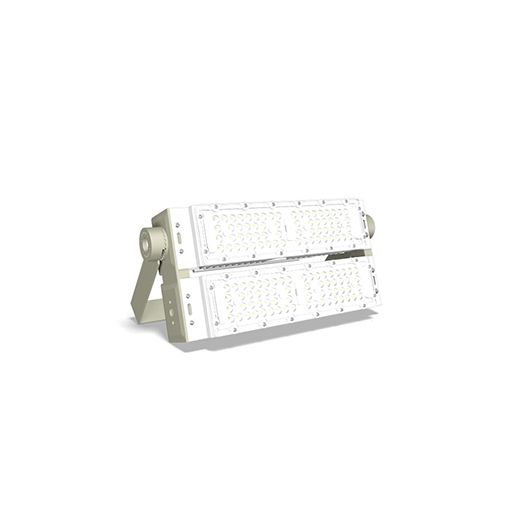 Đèn pha module Rạng Đông CP07 100W